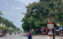 Biển báo giao thông “lấp ló” làm khó người đi đường
