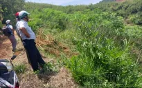 Đắk Nông cưỡng chế các trường hợp lấn chiếm đất trái phép tại xã Đắk Plao
