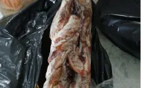 Phát hiện nhiều cá thể rùa, thịt đông lạnh không rõ nguồn gốc xuất xứ