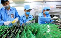 Tăng cường nguồn lực cho phát triển công nghiệp bán dẫn