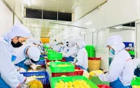 Tăng giá trị xuất khẩu nông sản từ chế biến sâu