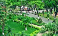 Bình Định đầu tư hơn 900 tỷ đồng phát triển cây xanh đô thị