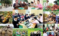 Phát động cuộc thi viết về tín dụng chính sách xã hội