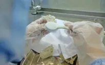 Gia tăng kim ngạch xuất khẩu cho ngành yến sào