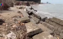 Xâm thực gây sạt lở bờ biển nghiêm trọng ở Thanh Hóa