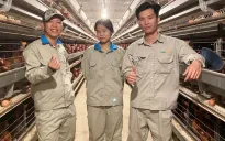 Nhiều học bổng toàn phần cho tân sinh viên nhập học ngành Chăn nuôi