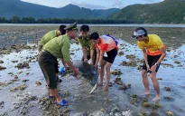 Vườn Quốc gia Côn Đảo giải cứu rùa xanh quý hiếm bị mắc cạn