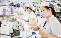Mục tiêu xuất khẩu của ngành dệt may “trong tầm tay”