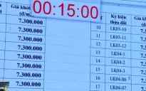 Đấu giá 19 lô đất tại Hoài Đức (Hà Nội), khởi điểm 7,3 triệu đồng/m2