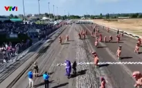 Thú vị cuộc đua của “khủng long bạo chúa”