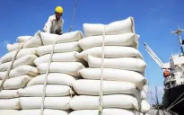 Vì sao gạo Việt Nam tiếp tục lên ngôi đầu bảng của thế giới?