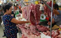 Giá thịt lợn giảm nhẹ