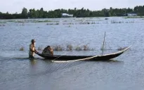 Lũ đồng bằng sông Cửu Long tuần tới về chậm lại