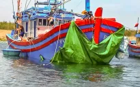 Tàu cá bị đâm chìm trên biển Phú Yên