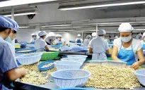 Nâng cao chất lượng nông sản xuất khẩu
