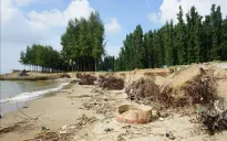 Thanh Hóa: Công bố tình huống khẩn cấp sạt lở, xâm thực bờ biển
