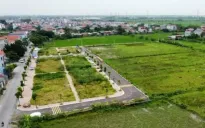 Tránh tâm lý đám đông sau các cuộc đấu giá đất