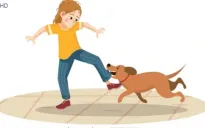Phú Yên: Gia tăng tình trạng trẻ em bị chó cắn