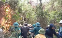 Nghệ An: Thăm hỏi 2 cán bộ bị bỏng nặng khi chữa cháy rừng