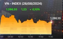 Thị trường phân hóa, VN-Index tăng nhẹ