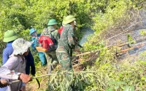 Hà Tĩnh: Cháy rừng gây thiệt hại khoảng hơn 2ha rừng sản xuất