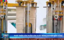 Phát triển sản phẩm nông nghiệp bền vững