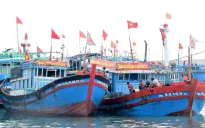 Ứng phó với bão số 3: Thanh Hóa quản lý chặt chẽ các phương tiện ra khơi