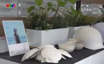 Mũ bảo hiểm tái chế từ vỏ sò