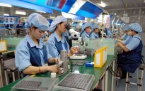 Đơn đặt hàng mới tăng cao, thúc đẩy sản xuất tăng tốc