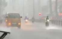 Đông Bắc Bộ mưa lớn trắng trời, nhiều cây xanh ngã đổ