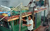 Các địa phương dồn sức ứng phó, hạn chế thiệt hại do cơn bão số 3