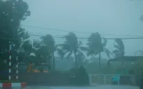 Ảnh hưởng bão số 3, Hải Phòng mưa, gió diện rộng