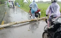 1 người tử vong, 6 tàu bị chìm, hàng trăm cây xanh gãy đổ trong gió bão