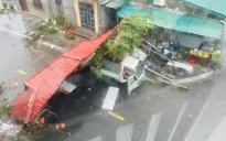 Thiệt hại ban đầu do bão số 3 tại Quảng Ninh