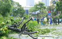 Hà Nội: Huy động lực lượng dọn dẹp cây xanh gãy đổ sau cơn bão số 3