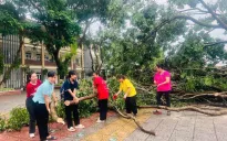 Đón học sinh trở lại sau bão Yagi, các trường học khẩn trương dọn dẹp