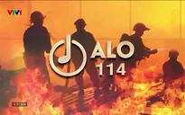 Alo 114 - 08/9/2024