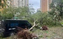 [Livestream] Bão số 3 gây ảnh hưởng trên diện rộng