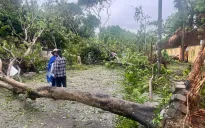 Người dân Hà Nội dọn dẹp đường phố sau cơn bão