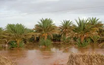 Lũ lụt nghiêm trọng ở Morocco khiến ít nhất 11 người thiệt mạng