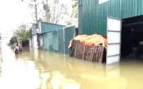 Nước sông Tích dâng cao, người dân Quốc Oai căng mình ứng phó