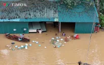 [CẬP NHẬT] Báo động lũ trên các sông và cảnh báo ngập lụt diện rộng