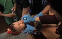 WHO xúc tiến chiến dịch tiêm phòng bại liệt tại Dải Gaza
