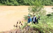 Hơn 400 người dân bản Cha Nga (Nghệ An) bị cô lập do mưa lũ, sạt lở