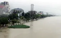 Lũ sông Đáy vượt báo động 3, Hà Nam di dời hơn 1.300 hộ dân