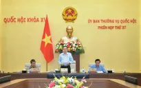 Chủ tịch Quốc hội: Thẩm tra đúng, trúng, bảo đảm chất lượng các dự án luật