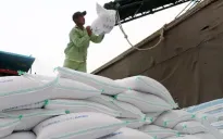 Doanh nghiệp Việt chi hơn 800 triệu USD nhập khẩu gạo