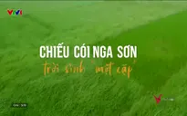 V - Việt Nam: Chiếu cói Nga Sơn