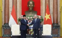 Tổng Bí thư, Chủ tịch nước Tô Lâm tiếp Tổng thống đắc cử Indonesia