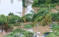 Nông dân “trắng tay” sau mưa bão